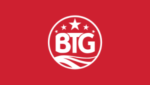Big Time Gaming лого