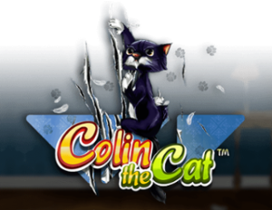 Colin the Cat