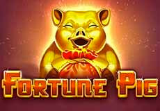 Fortune Pig